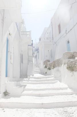 BioOneSTC's tweet image. 学生になる 🐯