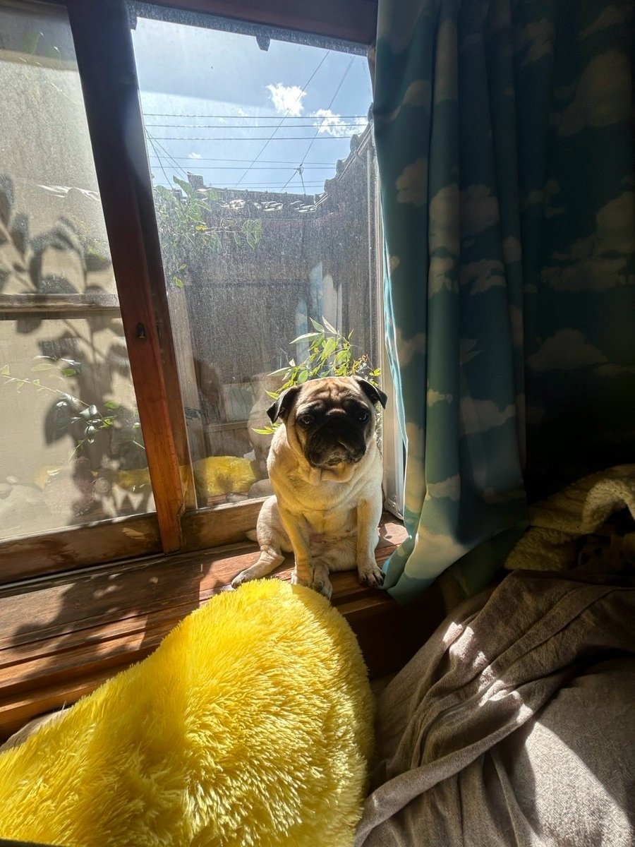 うめちゃん日記 (@Umechanpag) / Posts / X