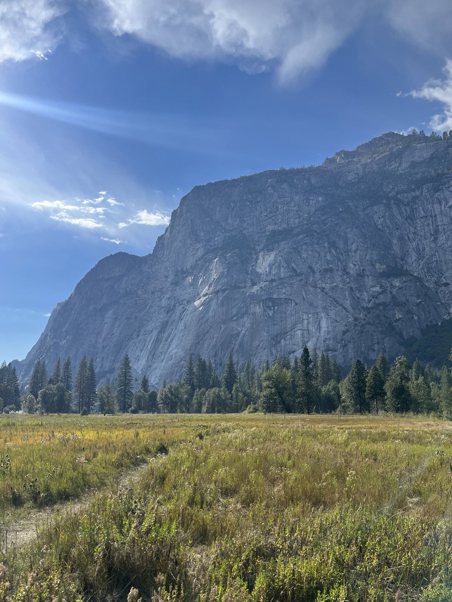 Shikha 👩‍💻 🐓 tweet media