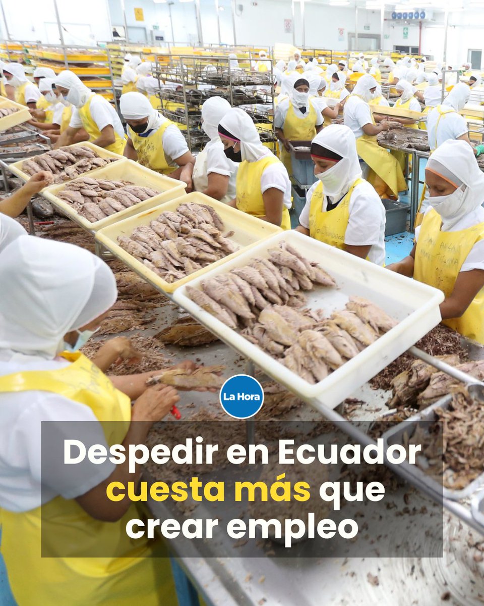 En Ecuador, despedir a un trabajador puede costar más que mantener una empresa 💰. Según el Banco Mundial, las leyes laborales son tan rígidas y los costos tan altos que frenan la creación de empleo formal y empujan a millones a la informalidad. 👉 lhra.ec/aAm9D8L