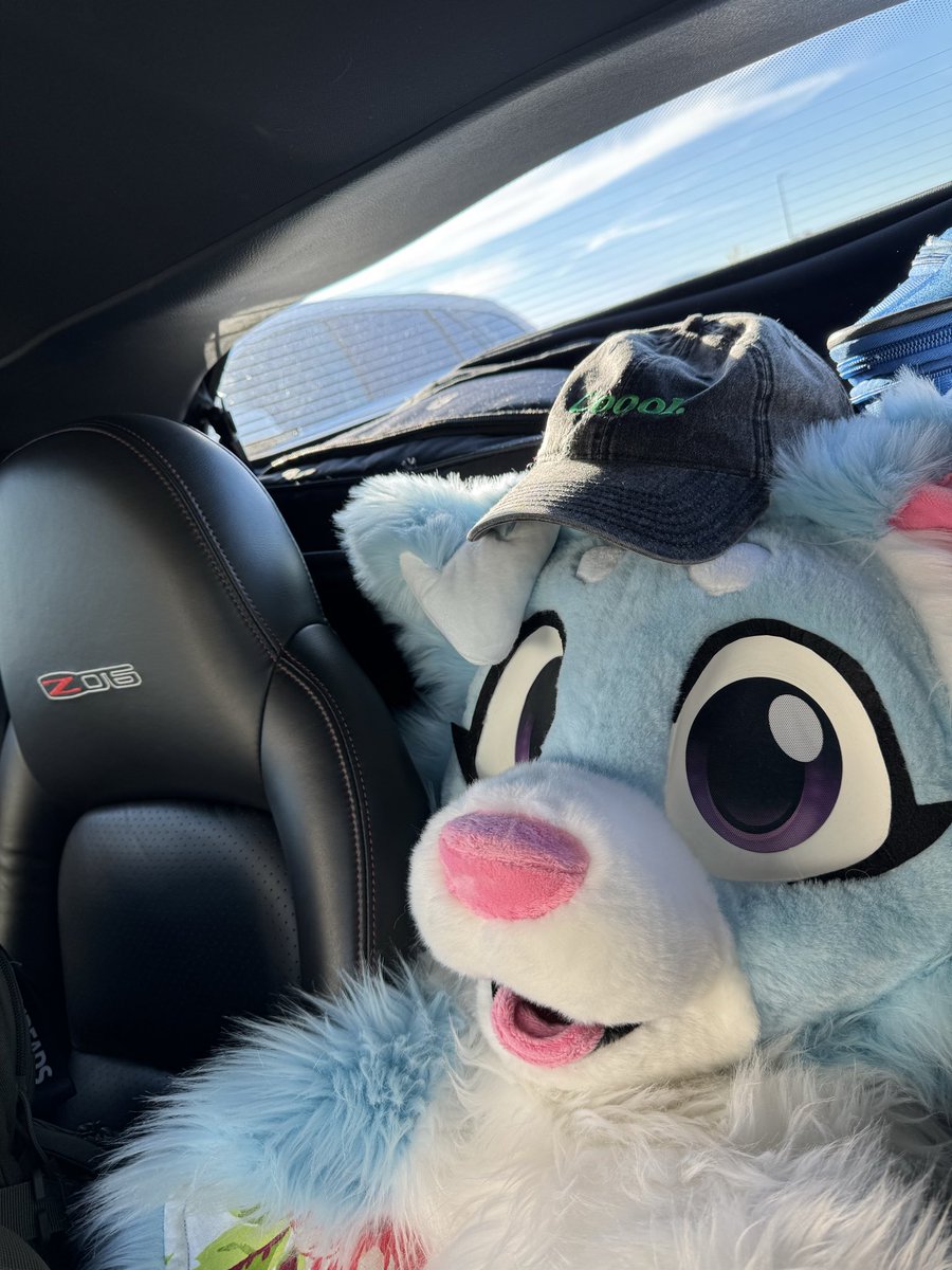 Ended as fast as it started 😭 Until next year #BLFC 

🐶: <a href="/SensCollie/">Sens</a>