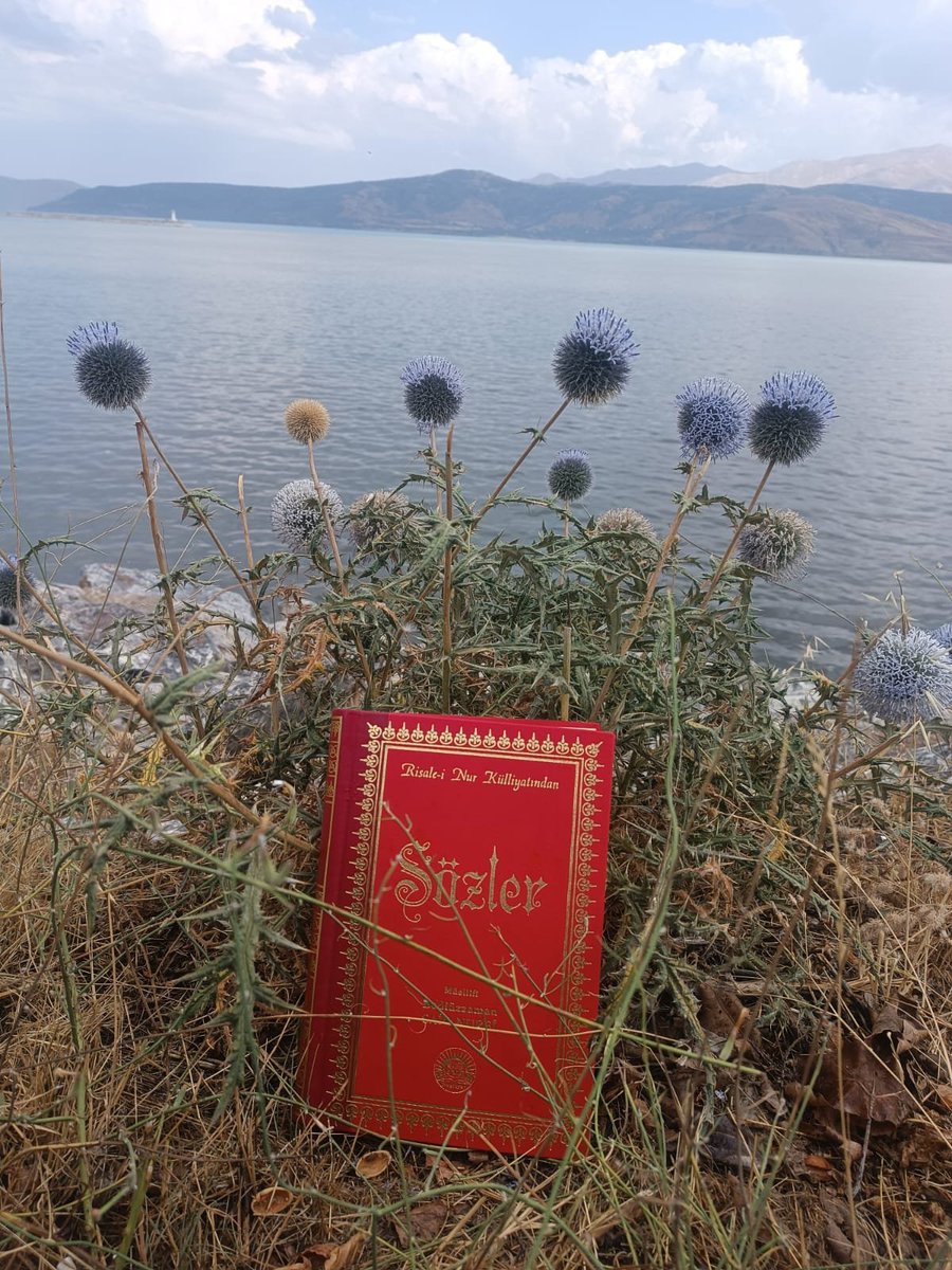 Hem dünyada gençliğe muhabbet, yani ibadette gençlik kuvvetini sarfetmenin neticesi: 
💫Dâr-ı saadette ebedî bir gençliktir.
Sözler - 648