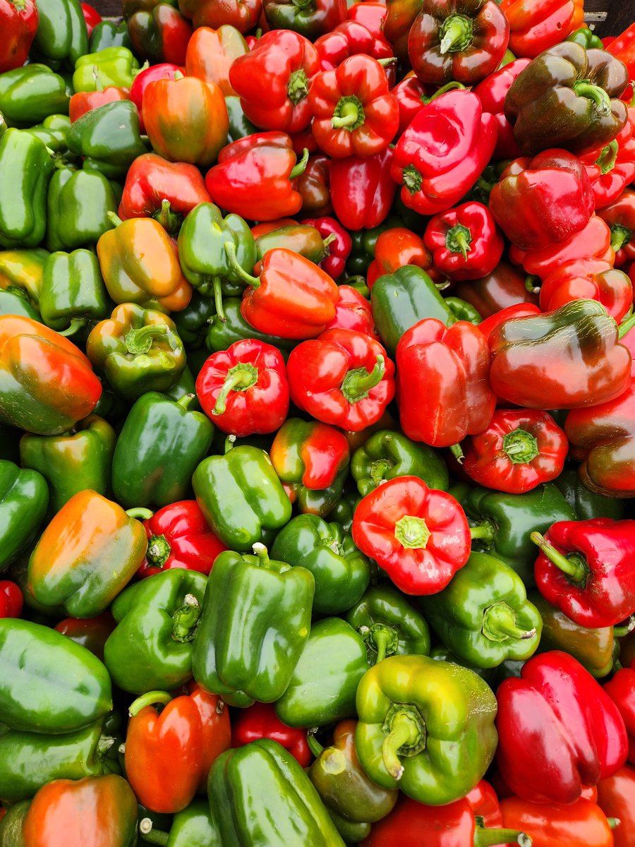 GandSOrchards's tweet photo. Stand has Peppers, Pears, Gourds, Onions, Pumpkins, Chard, Leeks, 17 varieties of Apples including Honeycrisp, Fennel, Strawberries, Potatoes, 14 types of Winter Squash including Hubbard &amp; Brassicas. You Pick Crispin, Fuji,  Ida Red, Jonagold, Spy Apples, Pumpkins &amp; Strawberries. https://t.co/behNIqKk5p