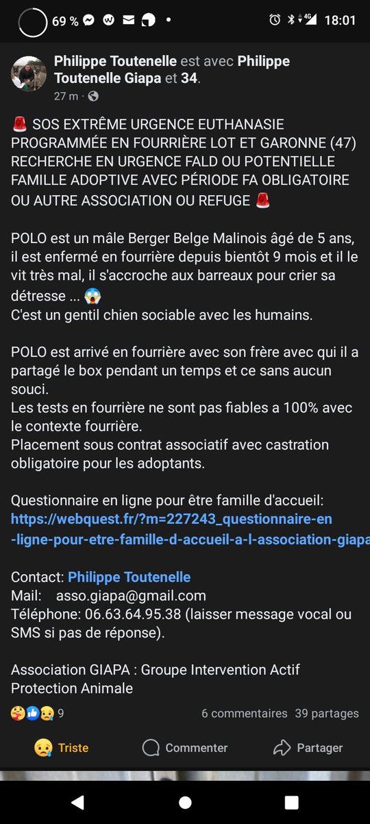 20320Vero's tweet image. SOS SOS euthanasie programmée ⚠️🚨🚨 Polo s'accroche aux barreaux pour crier sa détresse 💔😥 Recherche adoptant/famille d'accueil ou autre refuge/association pour prise en charge de cette beauté ⚠️⚠️⚠️ Sauvons lui la vie ⚠️⚠️⚠️ Philippe Toutenelle facebook.com/share/1DQKsubS…
