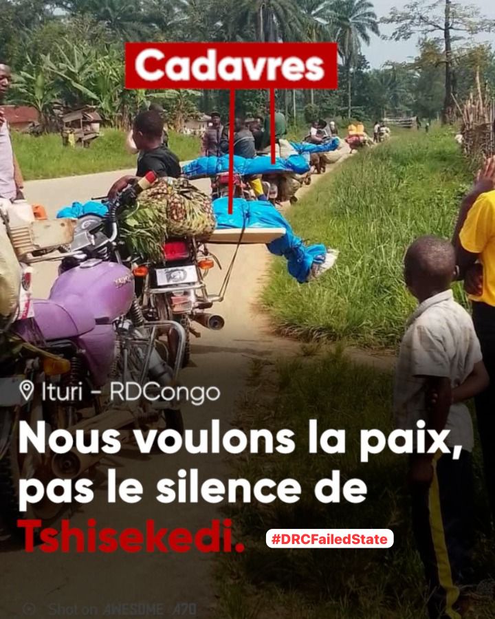 UFrancine5's tweet photo. FARDC coordination with FDLR highlights Tshisekedi’s strategic choice: collaboration with killers over protecting civilians. https://t.co/ynmG9nlvzv