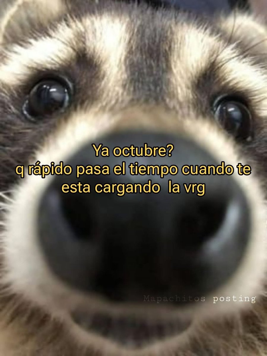 Salvador Iglesias Jr (@javisness) on Twitter photo 
