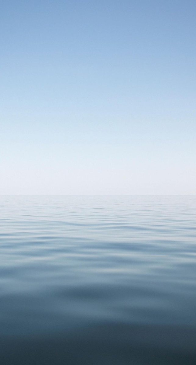 ChesterPer007's tweet image. 鳥はしょっぱいです 👩‍🎓