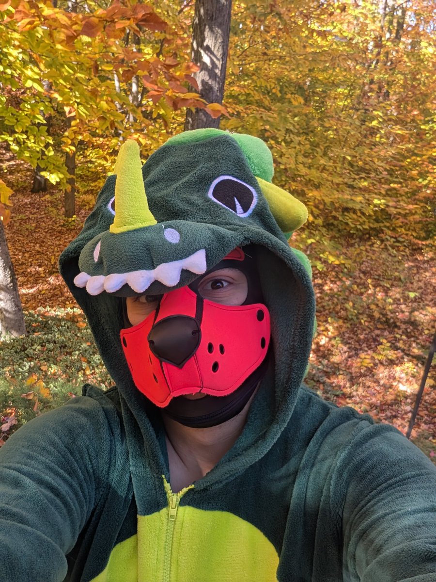 I'm a puppysaurus!!! Rawrrrr 🦖