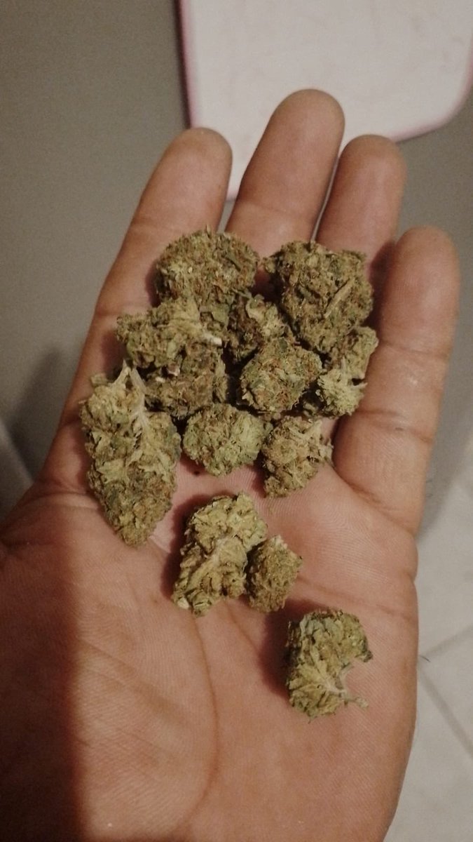 420 (PDC) & todo México tweet media