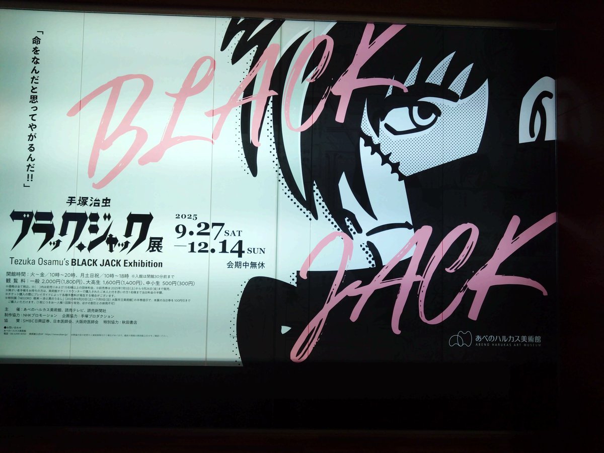 あずみ (@azu_kura) / Posts / X