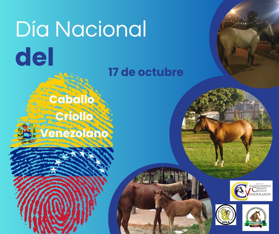 A Ritmo de Galope.
El Mundo del Caballo  🐎

Día Nacional del Caballo Criollo Venezolano: 
La huella de identidad de nuestra raza equina.

Leer en 👇
aritmodeogalope.blogspot.com/2025/10/dia-na… 

#aritmodegalope 
#elmundodelcaballo 
#caballos 
#Equinos
#caballocriollo
#caballocriollovenezolano