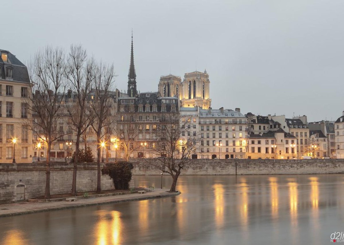 David_SC2's tweet image. 長い鳥 🐑