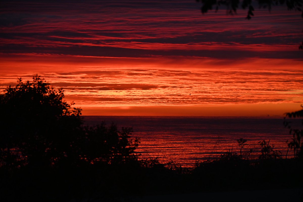 Mother Nature stoked the🔥along the beach this morning! Hamilton ON 
#ShareYourWeather
<a href="/TourismHamilton/">Tourism Hamilton</a>  <a href="/TheSpec/">Hamilton Spectator</a>