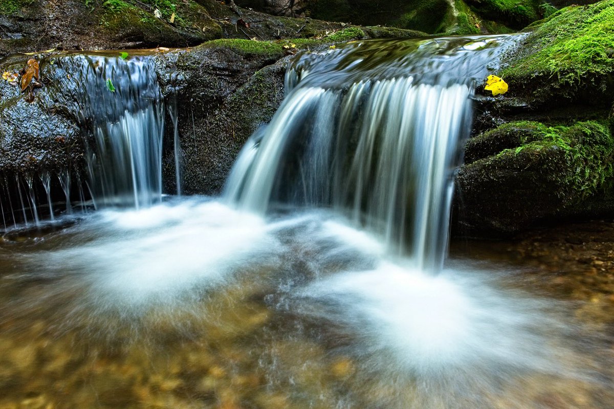 Share a tranquil moment.

#TranquilThursday