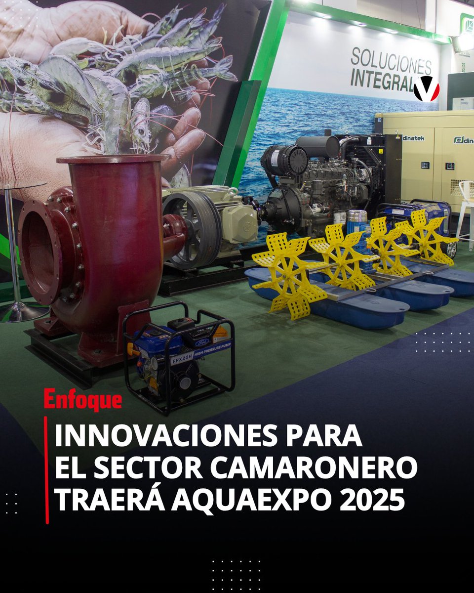 revistavistazo's tweet photo. 🦐¡Guayaquil será el epicentro de la industria camaronera con AQUAEXPO 2025! Del 20 al 23 de octubre, el Centro de Convenciones reunirá a miles de visitantes, delegaciones de 30 países y a más de 200 empresas. Conoce qué temas se abordarán en la feria acuícola más grande de Sudamérica 🌱 https://t.co/yj7Gqi1CU3