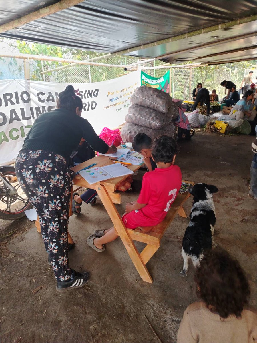 BitacoradelCami's tweet photo. @CNA_Colombia @CPueblos_Col  En medio de la jornada, los niños y niñas de la vereda Las Violetas en Rosas, Cauca, siguen aprendiendo, soñando y construyendo futuro. 📚 Haciendo Escuela Popular, porque educar también es una forma de luchar.💜 #AquíEnLaLucha https://t.co/N3STbT93SW
