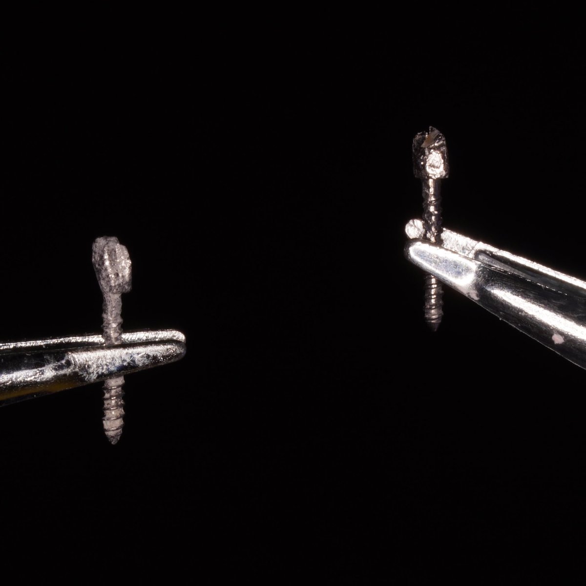 أنـوار الحربي . tweet media