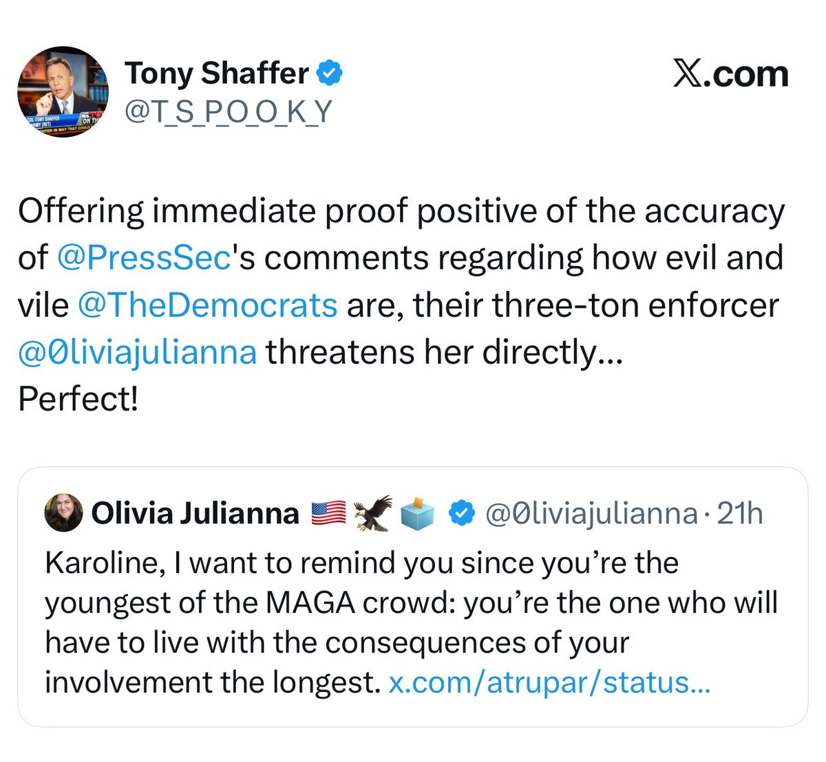 Olivia Julianna 🇺🇸🦅🗳️ tweet media