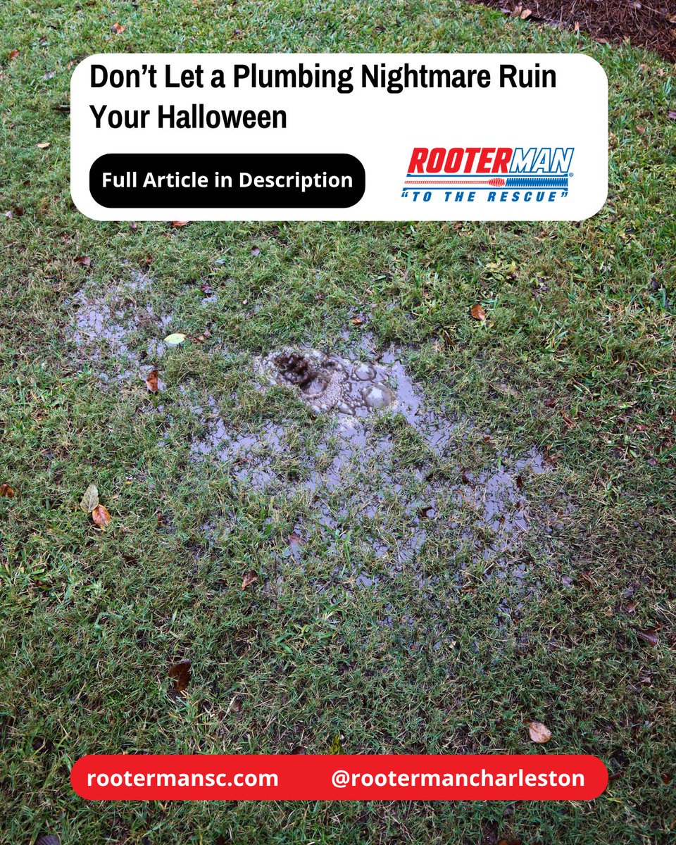 RooterManSC's tweet image. 🎃👻Don’t let a plumbing nightmare ruin your Halloween! From spooky sounds in your pipes to ghostly drain clogs, we’ve got the tips you need to keep your home scare-free this season

rootermancharlestonsc.medium.com/between-pumpki…

☎️(843)-310-2012

#RooterMan #Halloween #PlumbingTips #Charleston #CHS