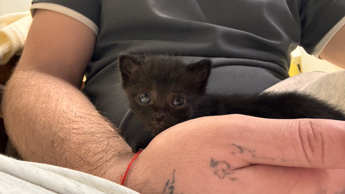 Интимный Дизайнер tweet media