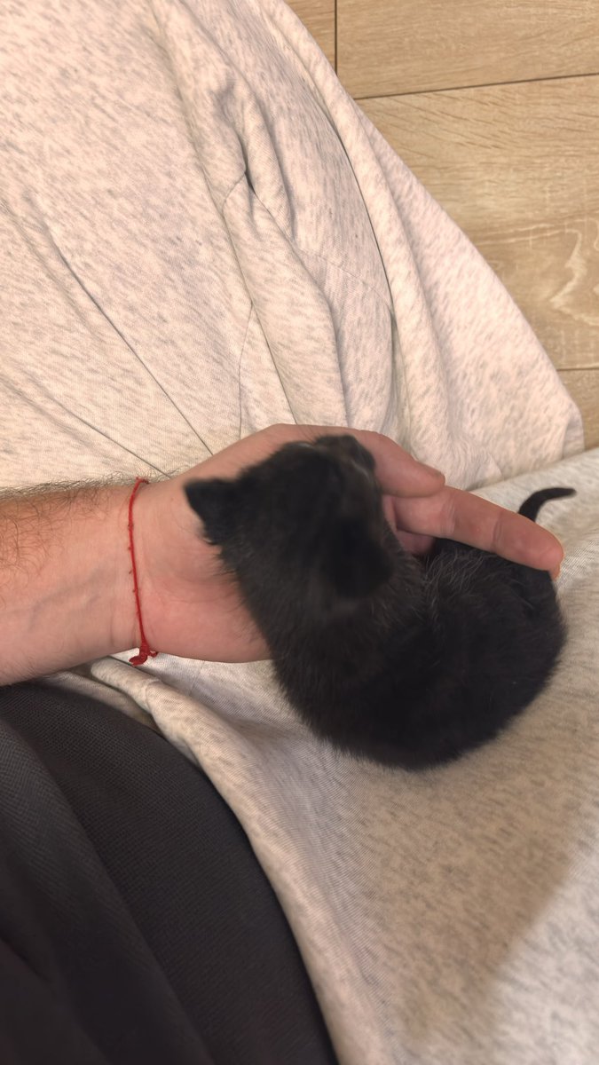 Интимный Дизайнер tweet media