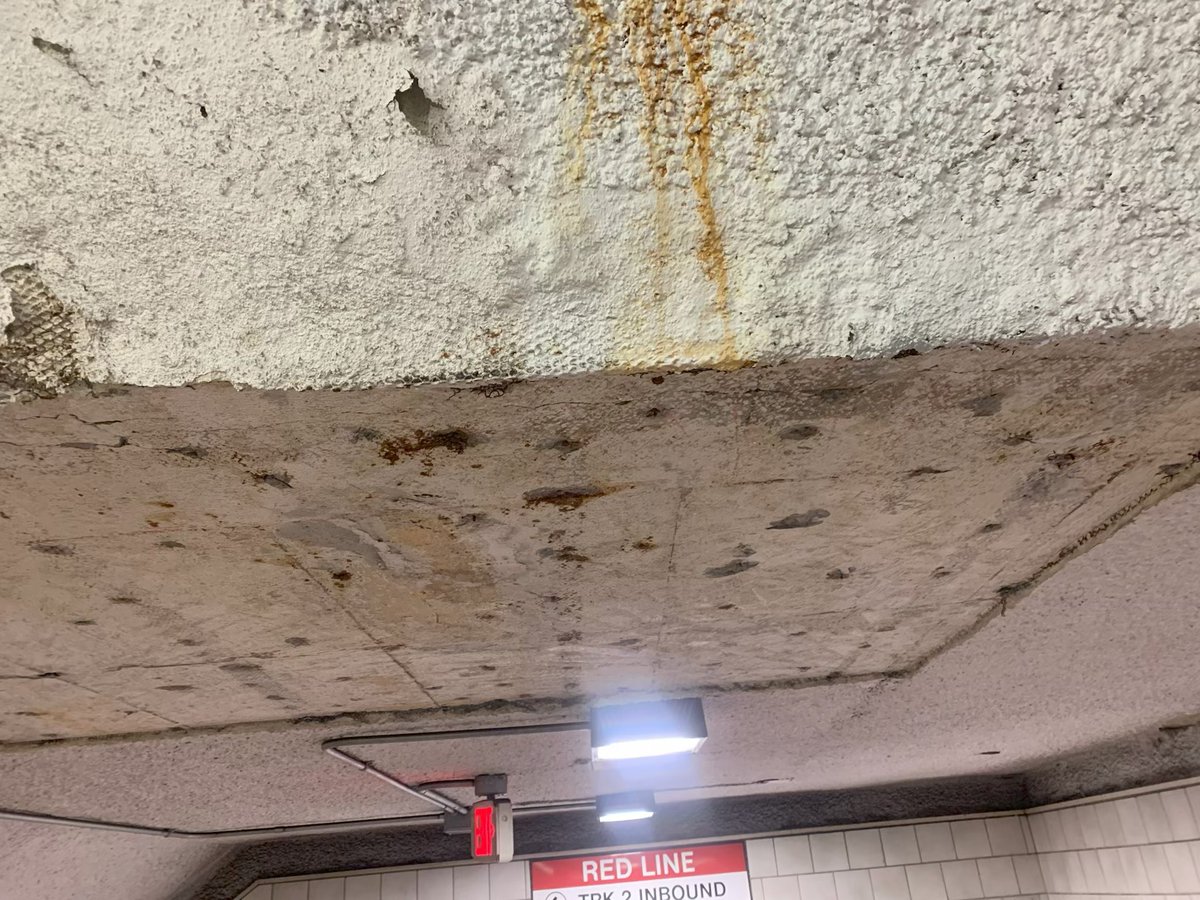 Andrew Square Civic Association tweet media