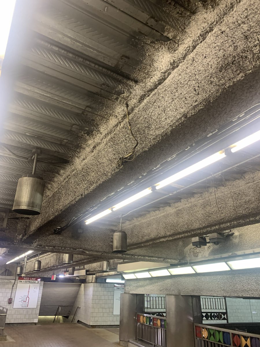 Andrew Square Civic Association tweet media