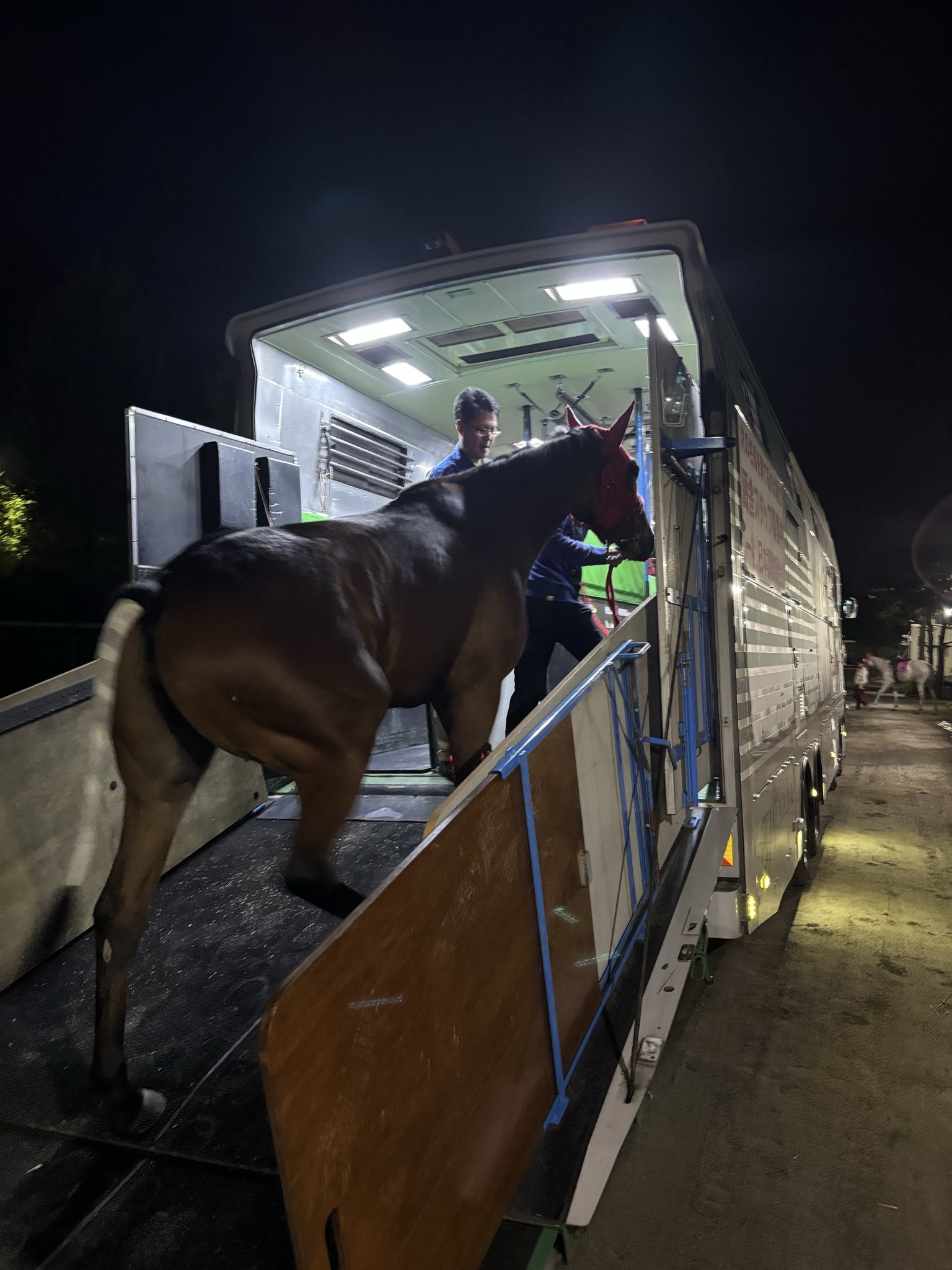 盗まれた馬 mqdefault.jpg