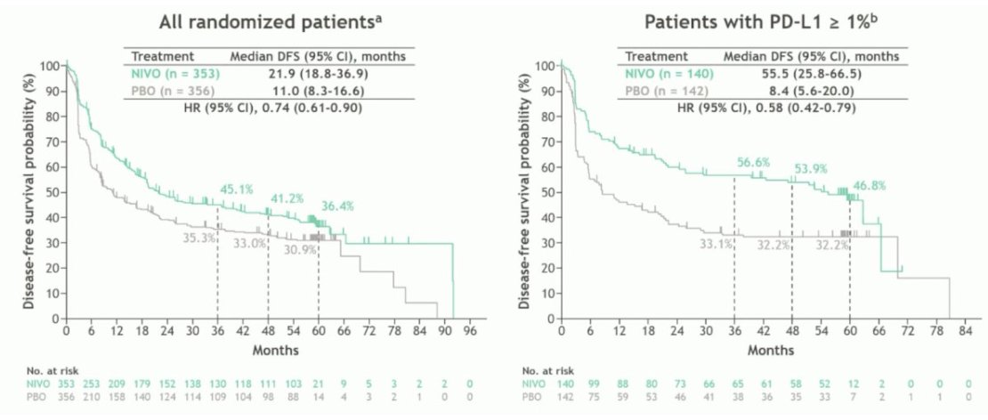 urotoday's tweet photo. Adjuvant nivolumab vs placebo for high-risk muscle invasive #UrothelialCarcinoma: 5-year efficacy and ctDNA results from #CheckMate274. Presentation by Matthew Galsky, MD @IcahnMountSinai. #ESMO25 written coverage by @zklaassen_md @GACancerCenter > https://t.co/JTnVaLLVGA @myESMO https://t.co/1z24vashMi