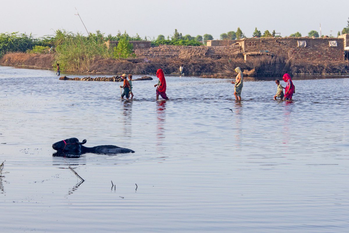 f_pickup's tweet photo. Of 1.1B people in acute #MultidimensionalPoverty, 80% face climate hazards.🌊🌆

Responding to overlapping risks requires moving from recognition to rapid action and aligning climate action with poverty reduction.

Check our latest report w/@ophi_oxford: https://t.co/8BUkhrQw0Z https://t.co/vgv6LXYpxg