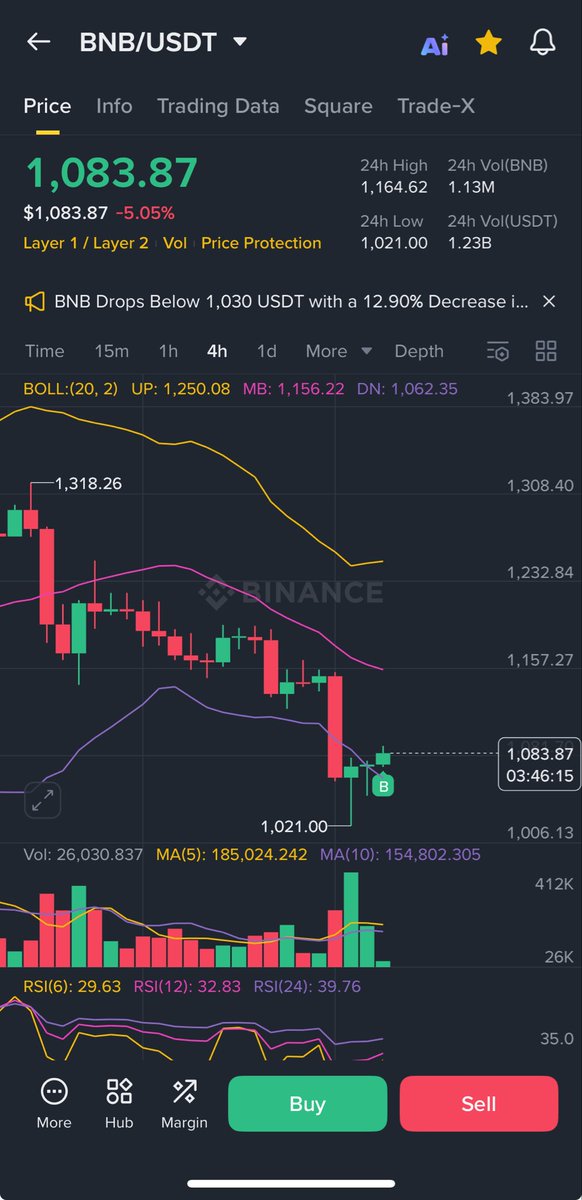 monkeycucu11's tweet photo. In $BNB and @cz_binance  we trust https://t.co/e1BR4dk9mW