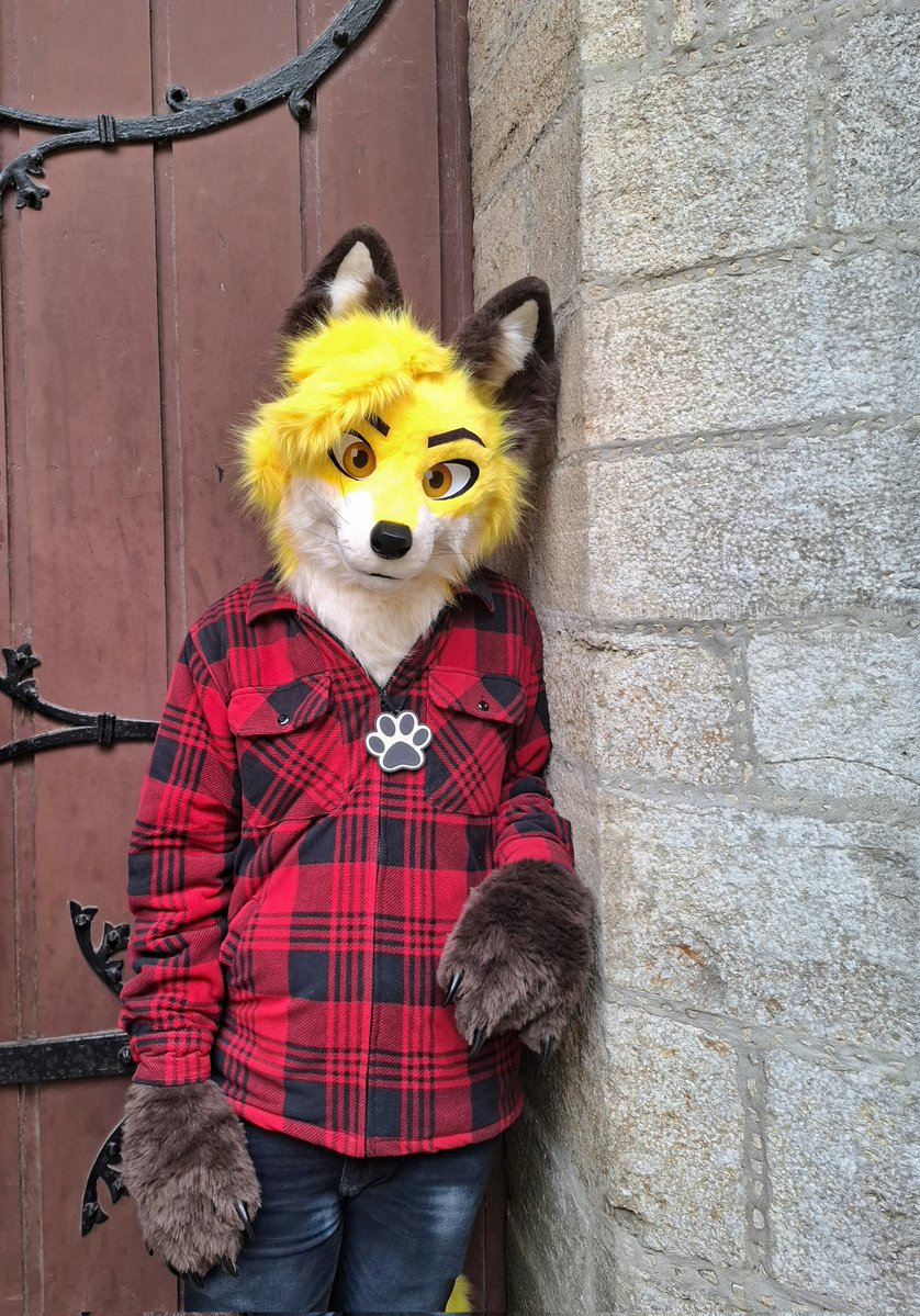 Happy #FursuitFriday 😊🦊

📸 by Gabe Foxx