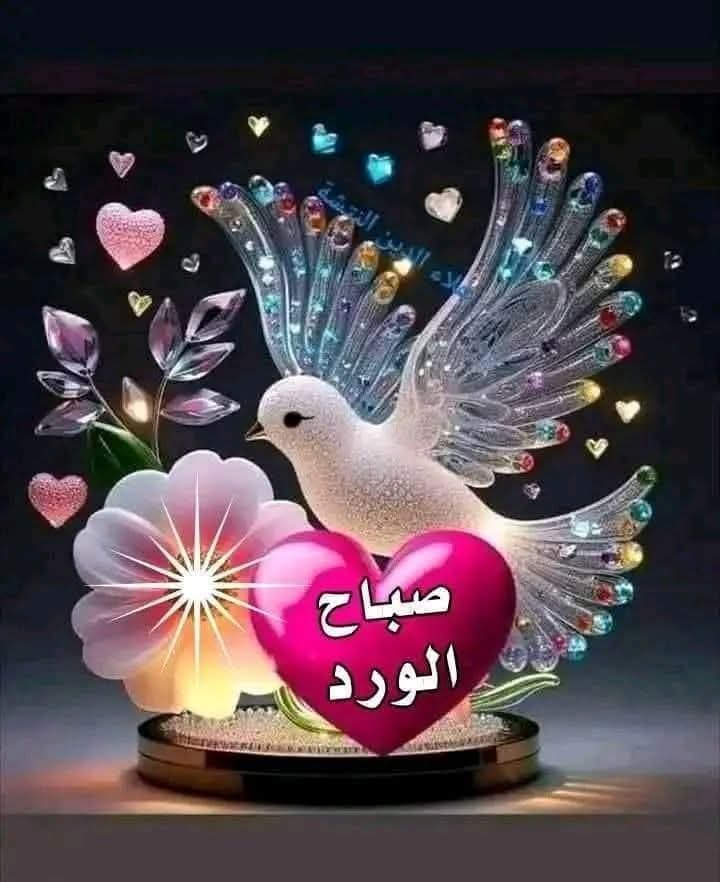 جمعة مباركة عليكم.
