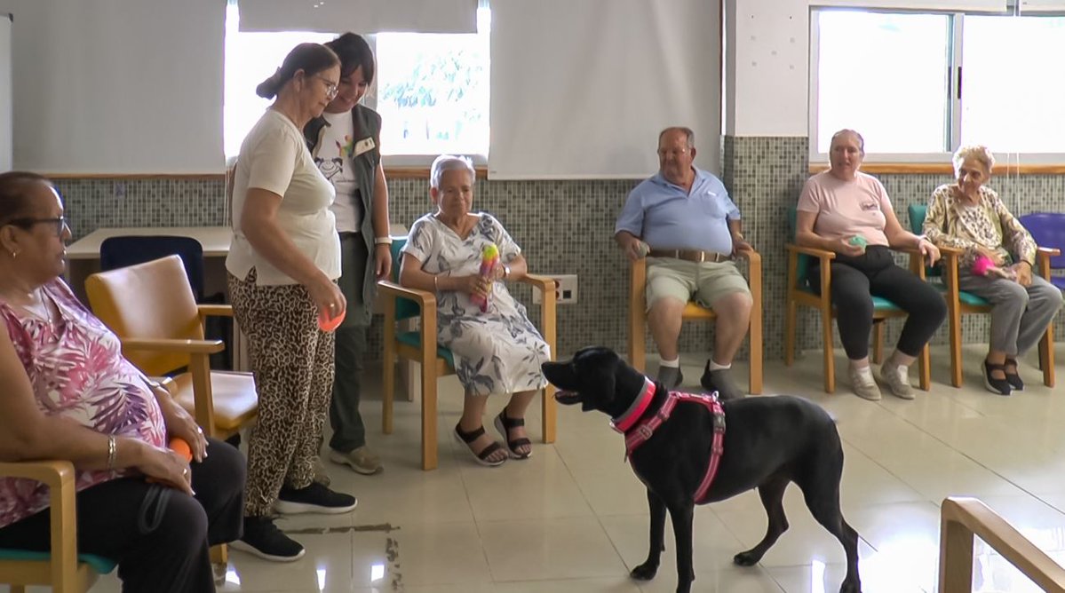 SolActualidad's tweet image. Mogán incorpora terapias con perros en el Centro para la Autonomía Personal y el Centro Ocupacional. @MunicipioMogan #AutonomiaPersonal #terapias #CentroOcupacional n9.cl/ocj66