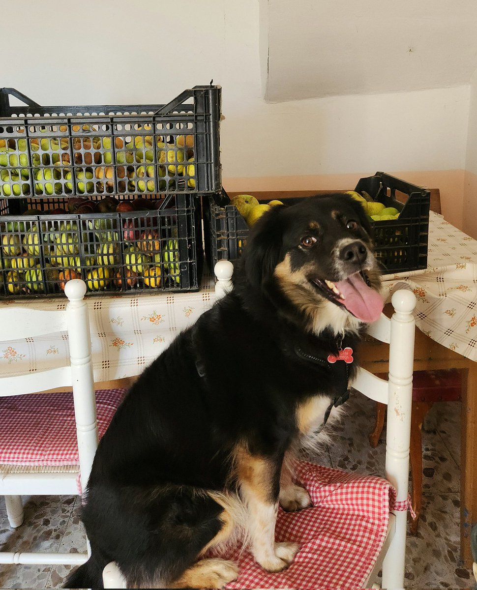 Hay muy poquito de todo este año, pero algo se pudo apañar