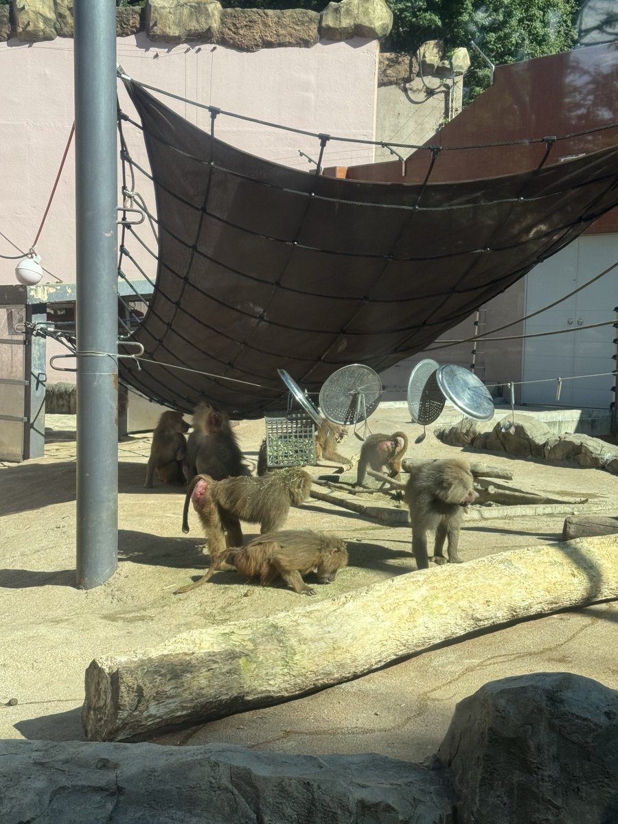 뭐?!! <a href="/brevis_zk/">Brevis</a> 가 지구를 구하러 간다구요?

ZK Coprocessor, Pico zkVM 등을 가진
brevis의 엉덩이는 빨개

빨간 건 zk, 
zk는 커리햄, 
커리햄은 이더리움,
이더리움은 자몽선생님