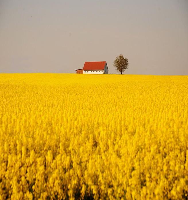 dsdssilva0's tweet image. 衝動買いしちゃった✨ 👨‍👨‍👧