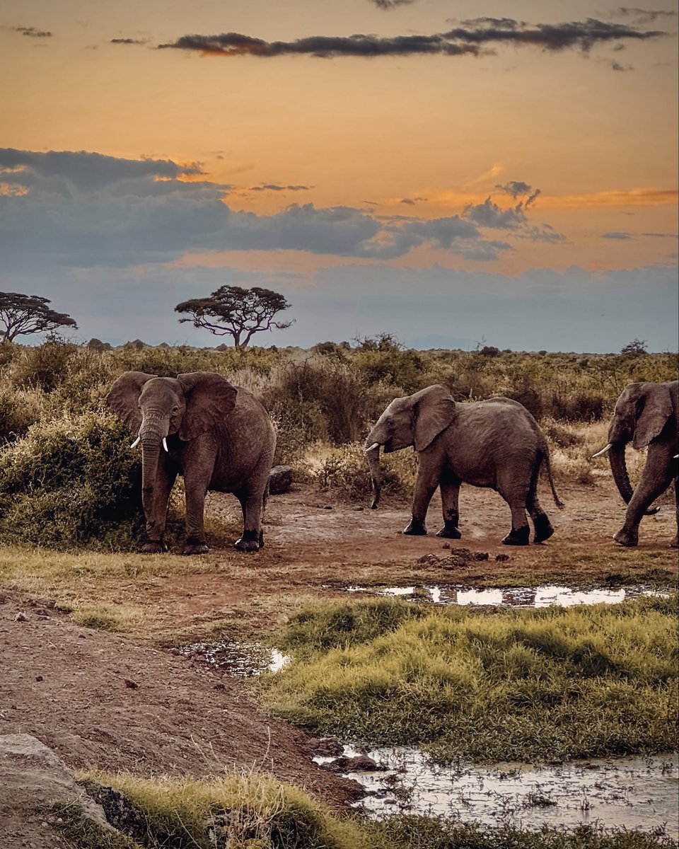 Mandy de Beer :||: tweet media