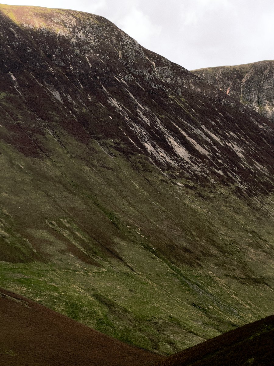 Robson63683216's tweet image. 24 hours at the lakes ✨

#cyclingshots
#cyclist
#bike
#bikelife
#bikeride
#bicycling