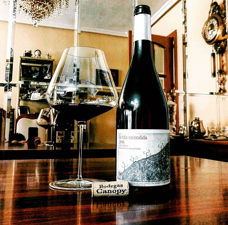 Bodegas Canopy tweet media