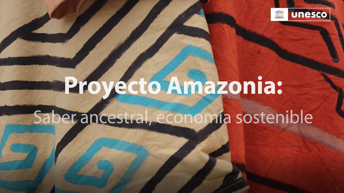 UNESCOperu's tweet image. 🌎 El #ProyectoAmazonia, ejecutado por UNESCO en el marco del programa El Hombre y la Biósfera, y con el financiamiento de #LVMH, busca mejorar la resiliencia y detener la pérdida de biodiversidad en la cuenca del Amazonas.