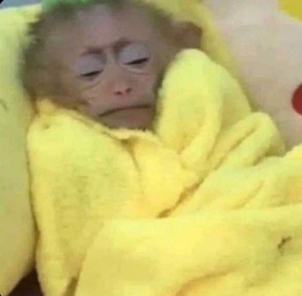 minha parte favorita do dia é quando to assim na minha cama