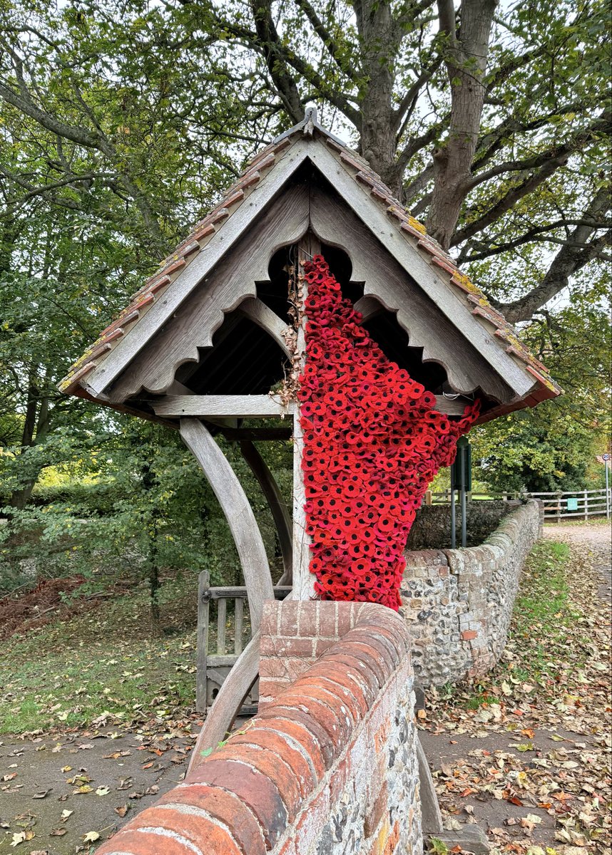 Hand crocheted poppies at St. Giles Church Codicote for remembrance. 

#poppy #poppies #church #remembrance