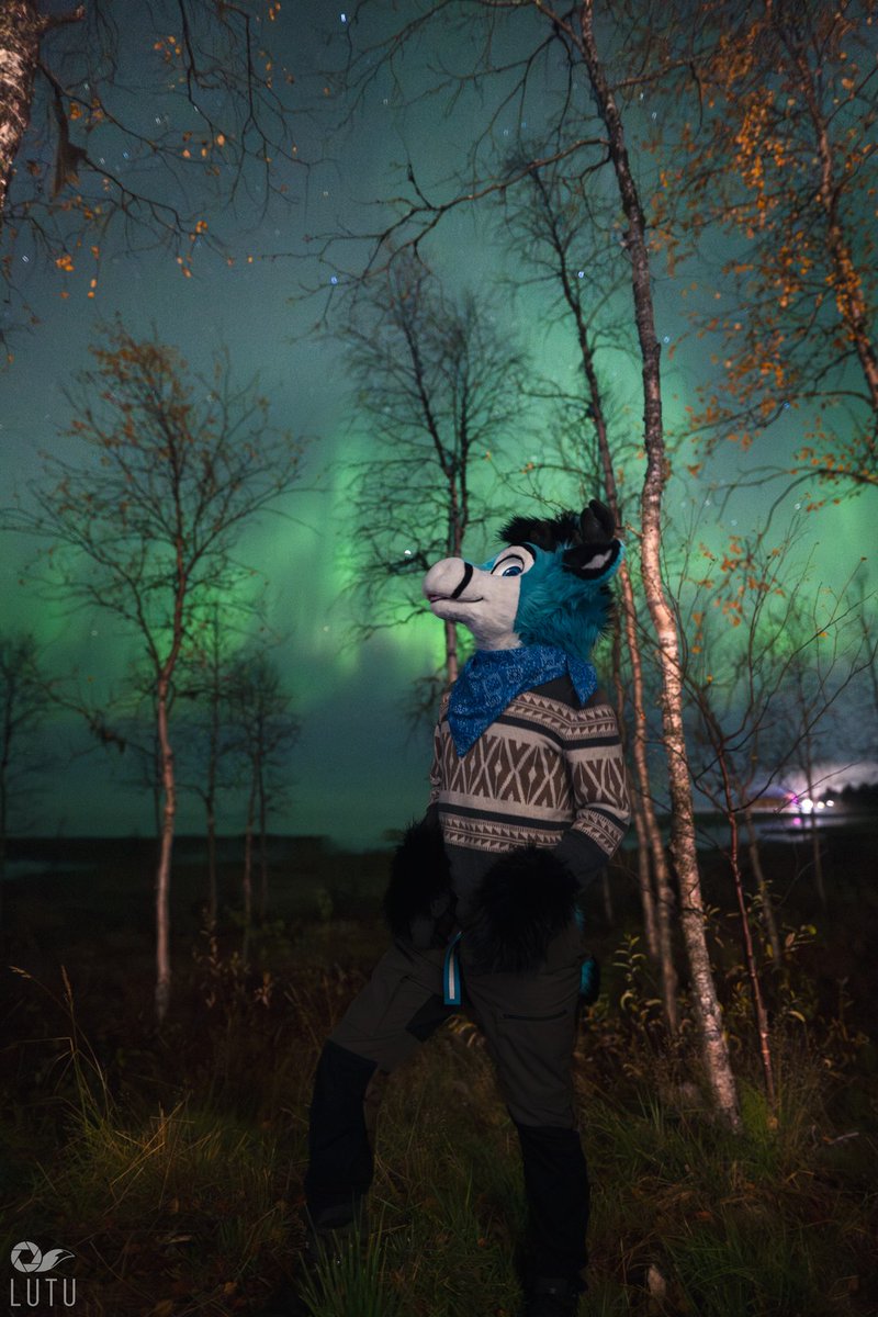 Drastos (@drast0s) on Twitter photo Sometimes the greatest magic and wonder can be found in the nature that surrounds you โจ
Thanks to the amazing photographer <a href="/Lutufox/">Lutu ๐๐</a> ! ^^
#FursuitFriday Sometimes the greatest magic and wonder can be found in the nature that surrounds you โจ
Thanks to the amazing photographer <a href="/Lutufox/">Lutu ๐๐</a> ! ^^
#FursuitFriday