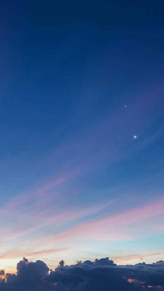 わかた tweet media