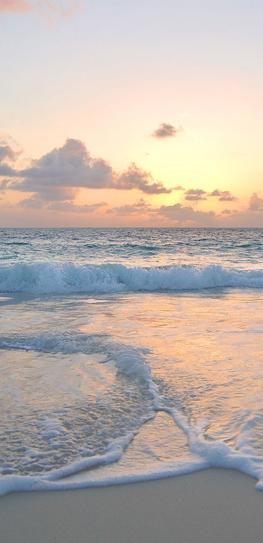 labesse69's tweet image. 久しぶりの洗濯 🐅