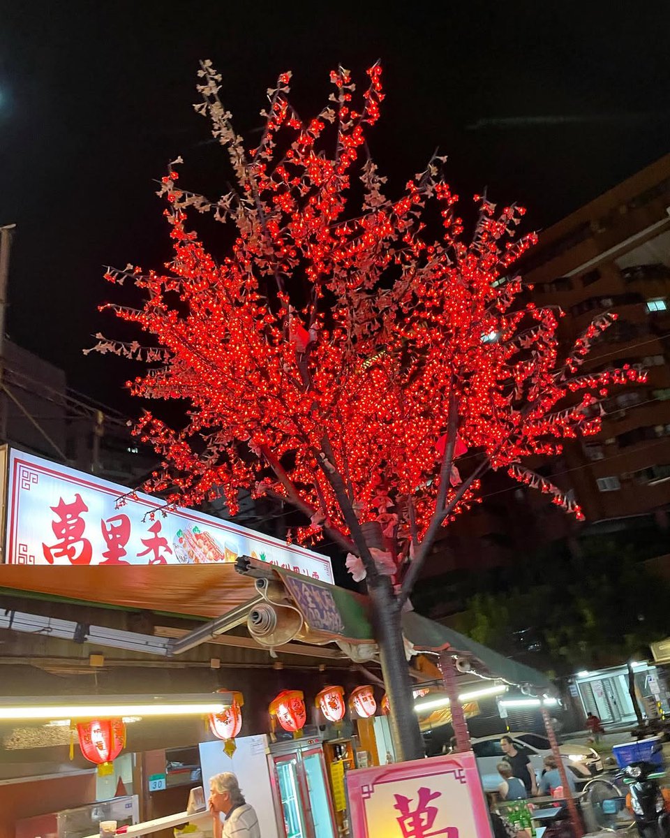 Labjdop's tweet image. ライトアップされた夜には,いつもちょっとした物語が起こります🌸