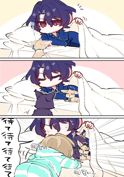 #ratiorine あたたかい場所が分かるネコチャンズ🛌 