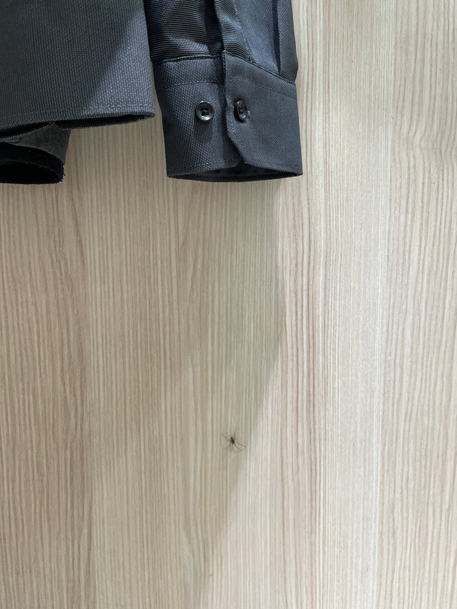 .
Bugün bi gömlek denemek için boş sandığım bir kabine girdim. Meğer o kadar da boş değilmiş 🕸️🕷️

farketmesem belki beni ısıracak ve kabinden örümcek adam olarak çıkacaktım. sonra bi dünya ipsiz sapsız kekoyla uğraş! 🤬