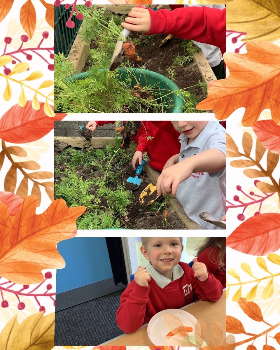 The children had so much fun digging up carrots from the garden today and they had even more fun eating them for snack! It is lovely to see them learning where their food comes from and enjoying the rewards of their hard work. 🥕🌱